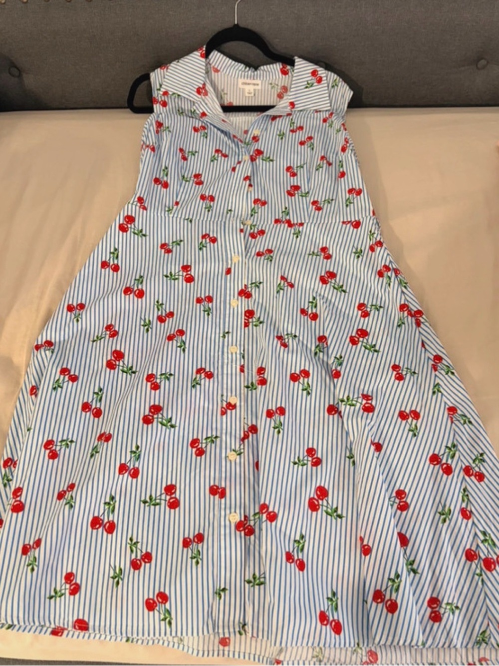 Blue Stripe Cherry Print Button-Front Dress